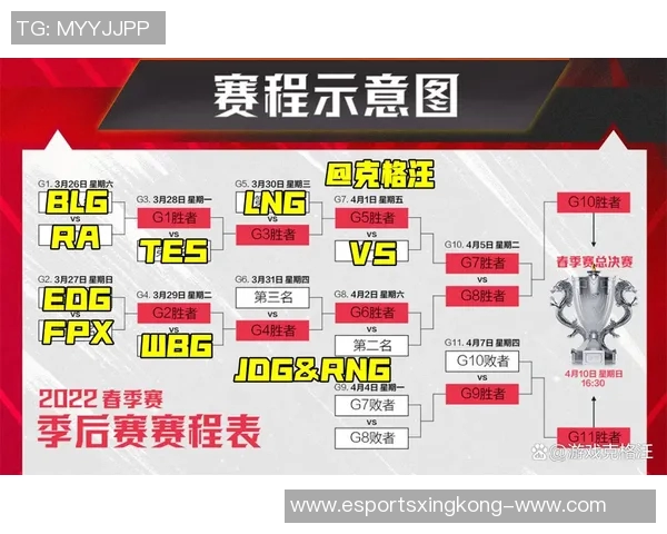 电竞战术深度解析LNG与FPX赛后数据复盘与策略对比