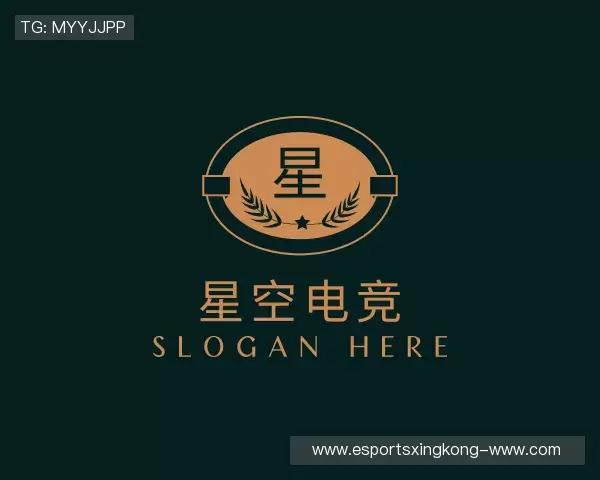 发现星空电竞官网